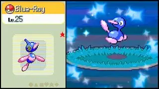 LIVE | Shiny Porygon found after 1,743 SRs in Pok&eacute;mon Platinum! [Evo showcase]