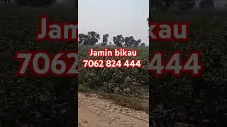 Jamin bikau