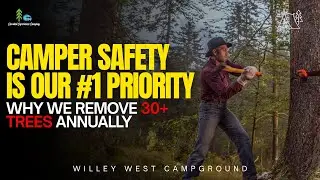 Camper Safety Is Our #1 Priority: Why We Remove 30+ Trees Annually