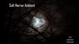 Soft Horror Ambient: Alone in the Woods at Night