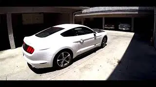 MUSTANG TERMINATOR HOOD MINI EDIT