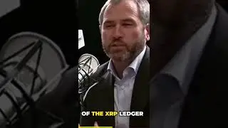 Ripple CEO Let's cat out the bag David Schwartz Is the Creator of Bitcoin and XRP