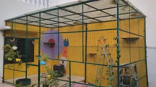 A Crazy Cat Mom's Gift to her Babies | Our Outdoor Catio Tour | Vlog 2 #catlover #catvideos