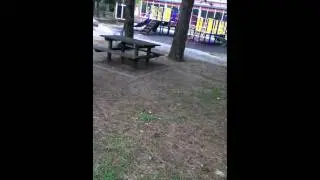 DST 501 Hidden City Neighbourhood #3 pt 2