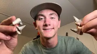 How to clean turkey spurs!!! (Good or bad)