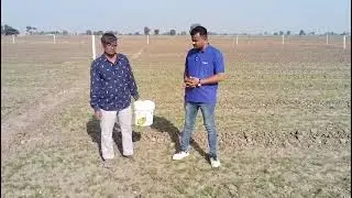 Zeel bahar product result review Cumin crops #agriculture #pesticides 