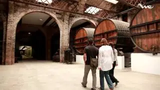 Wine tour near Barcelona. Visit Codorniu Cellars Private | We Barcelona Experiences