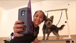 Entrez dans les coulisses de la SPA de Marseille