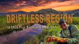Fly Fishing the Driftless Region for Wild Trout