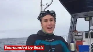 Snorkel with Seals