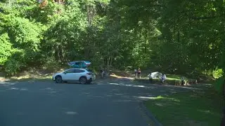 No capacity limits at state parks, beaches this summer: CT officials