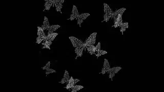 4k butterfly overlay download || flying butterfly overlay free download || #overlay #butterfly #sky