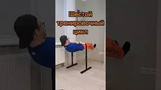 Продолжаю публиковать отчёты о тренировках. #спорт #frontlever #статик #motivation #sports