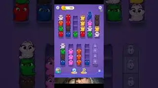 kitty sort #forkids #kitty #kittysort