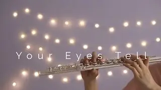 BTS - Your Eyes Tell Flute Cover | Notes