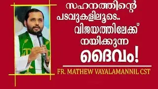Fr.Mathew Vayalamannil CST