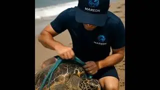 Mareon | The Ocean-Focused Token Changing the Future