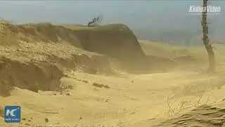 Barren land turned into oasis: Decades of afforestation pays off in Youyu, China