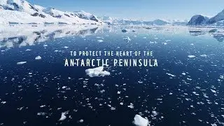 Protecting The Heart of the Antarctic Peninsula (Teaser Trailer)