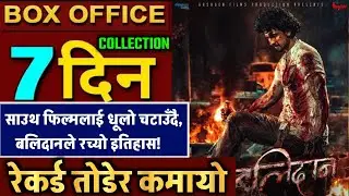 BALIDAN 7th DAY BOX OFFICE COLLECTION,BALIDAN PUBLIC REVIEW, BALIDAN BOX OFFICE COLLECTION, #balidan
