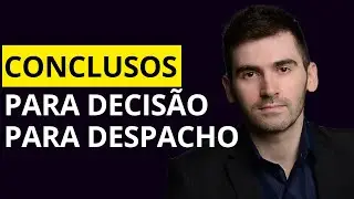 Conclusos para decis&atilde;o/despacho: o que significa?