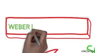 Miss B's Quick Guide To...SOCIAL ACTION