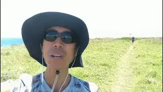 Wandering around Wollongong including Windang Island
