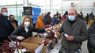 Reparto de parras en Tíjola