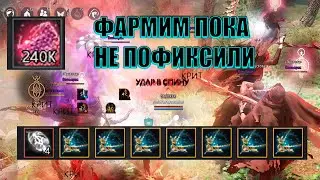 Black Desert ПЕПЕЛЬНЫЙ ЛЕС ЛУЧШИЙ СПОТ ДЛЯ ФАРМА ПОСЛЕ ОБНОВЛЕНИЯ