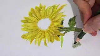 How to Paint  a Realistic Sunflower | Colored Pencil Drawing Tutorial