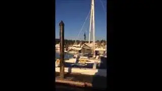 Eagle Harbor Rendezvous
