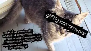 Meow Meow - Giftig Kattenvoer