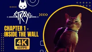 Stray - Chapter 1 - Inside The Wall [4K 60FPS | PC | Max Settings]