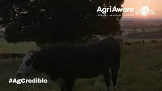 Did You Know Series | Tommy Boland | Carbon Efficient Beef & Dairy