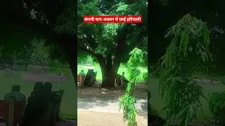 The best video#alwar #block #city #alwa #short video