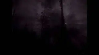 Wyrd - My Ghosts