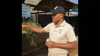 UFUGAJI BORA WA MBUZI WA MAZIWA
