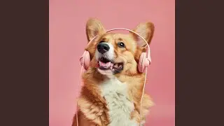Gentle Canine Echoes