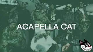 Boot Camp Clik - And So Acapella 91 BPM - 4K Acapella Cat