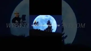 Michigans #1 Trusted Basement Waterproofing Of Michigan Exterior Interior Foundation Repair BWM