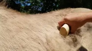 Testing the Sleekez