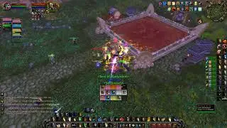Season of Discovery | Zul'Gurub | Hard Mode | 46 Min Run | Holy Paladin PoV | No Commentary 2K