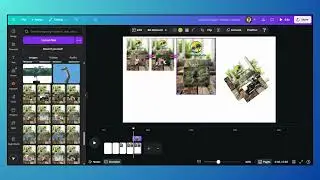 How To Create Stunning Interactive Photos with Zoom & Motion Effects In Canva