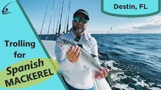 Spanish Mackerel Trolling in Destin, FL