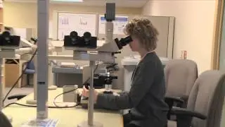 HEALTH SCIENCES NORTH