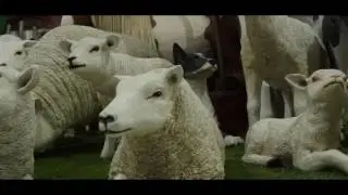 Animaux de la ferme grandeur nature en r&eacute;sine NLC DECO