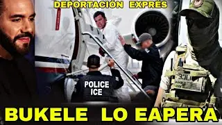 Bukele espera La Llegada De Alvaro Mendez abogado Confirma su Deportaci&oacute;n  Expres a El Salvador😱
