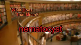 What does nematocyst mean?