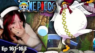 Fighting Bubble Boy || One Piece Episode 161-163 Reaction