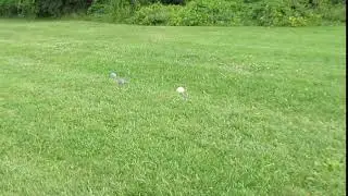 Turbo Bocce Playoffs 2018